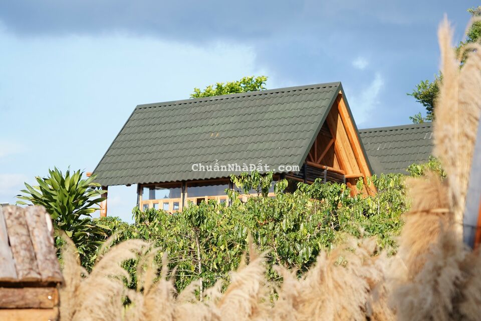 Bán đất Làng Oa 1000m2 - Nơi hội tụ những người yêu thiên nhiên có view hồ, suối, săn mây